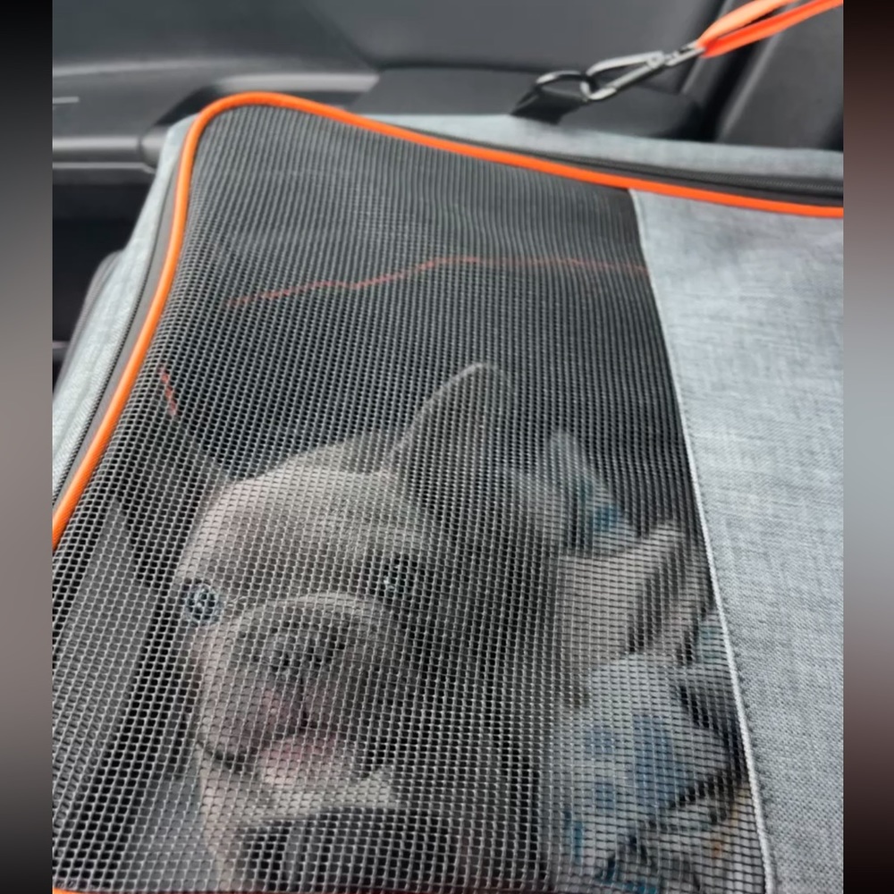 aiperro dog car seat